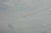 RMKPic_015.JPG - 2006:05:27 14:47:38