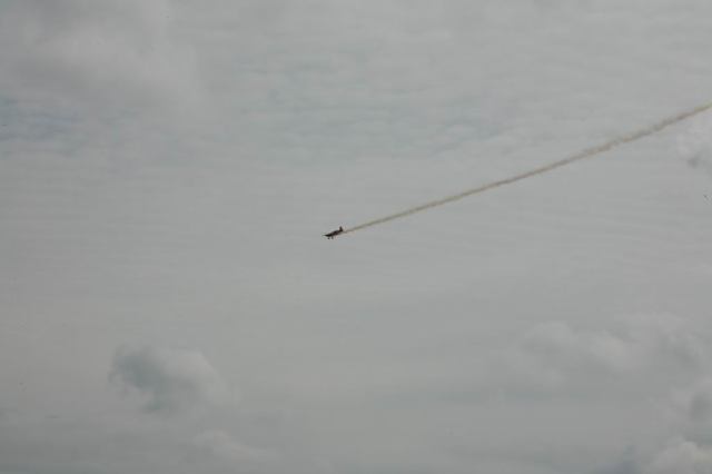 * Image 15