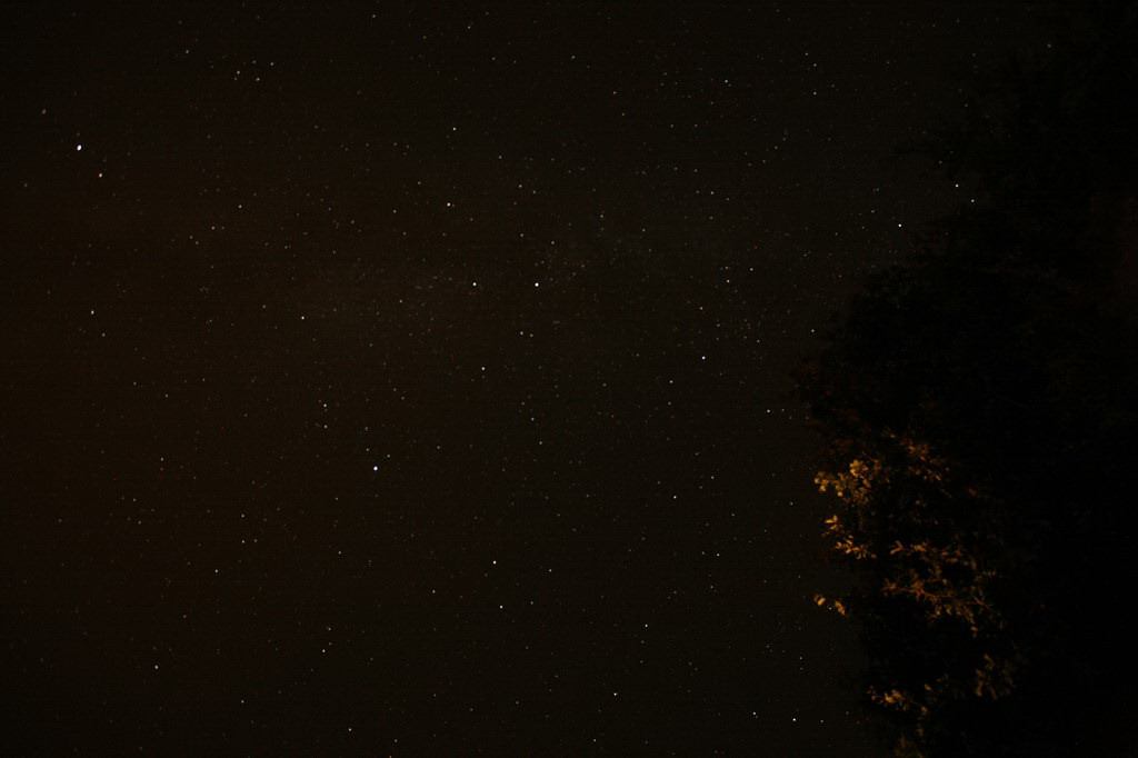 * Image 52