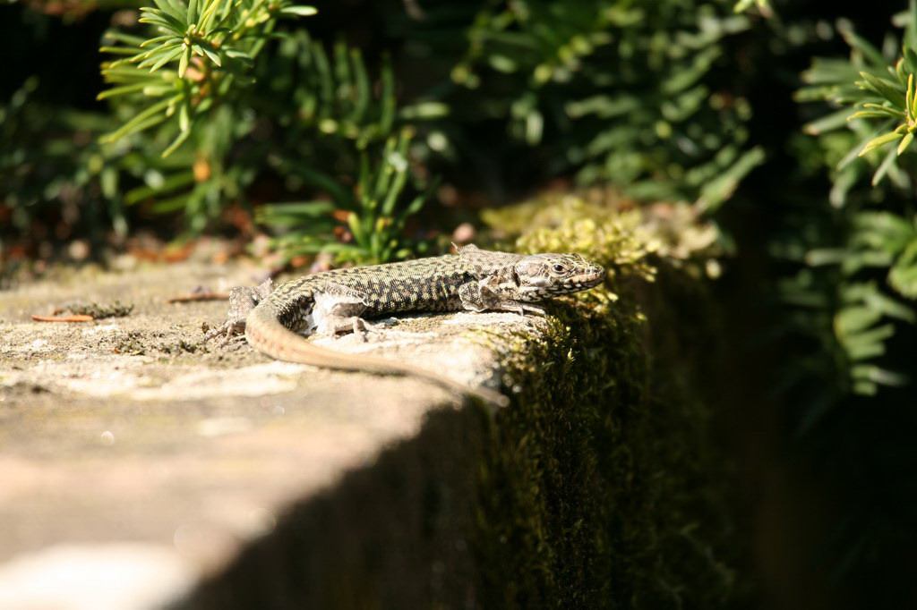 * Image 143