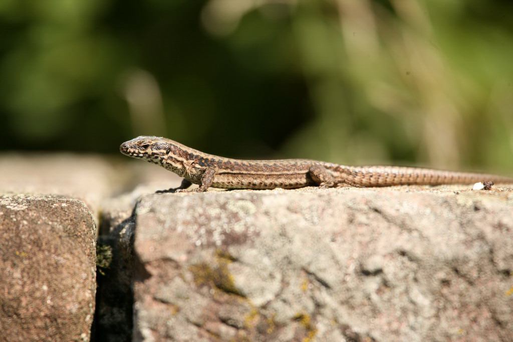 * Image 148
