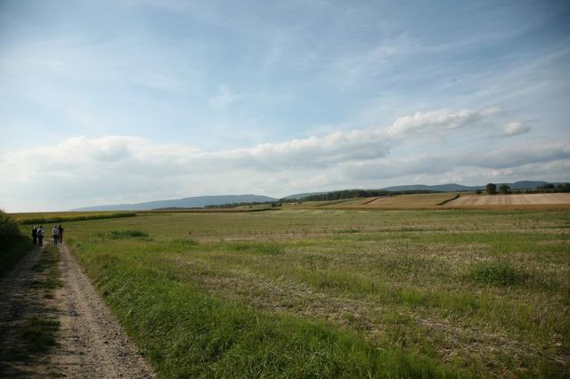 * Image 43