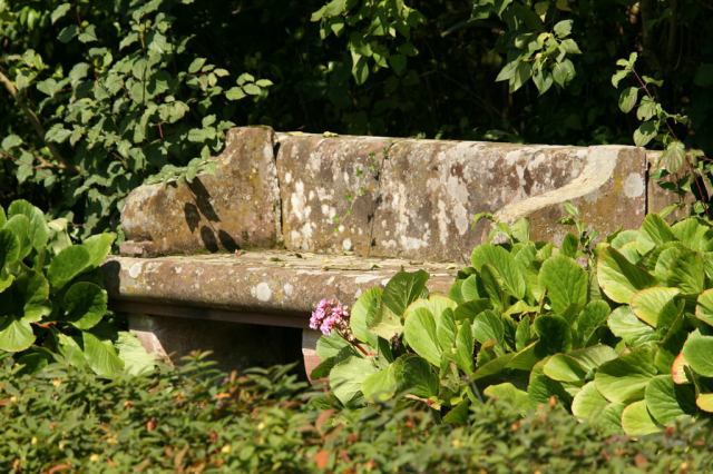 * Image 144