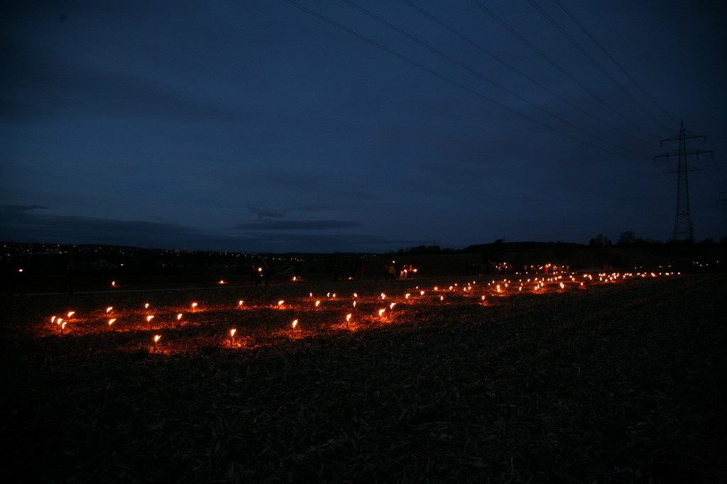 * Image 73