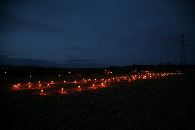 * Image 73