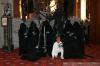IMG_2445.JPG - 