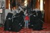 IMG_2669.JPG - 