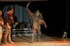 IMG_3882.JPG - 