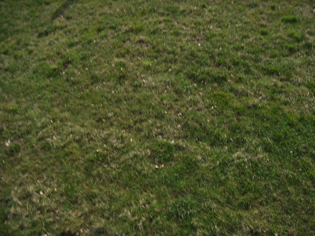 * Image 3