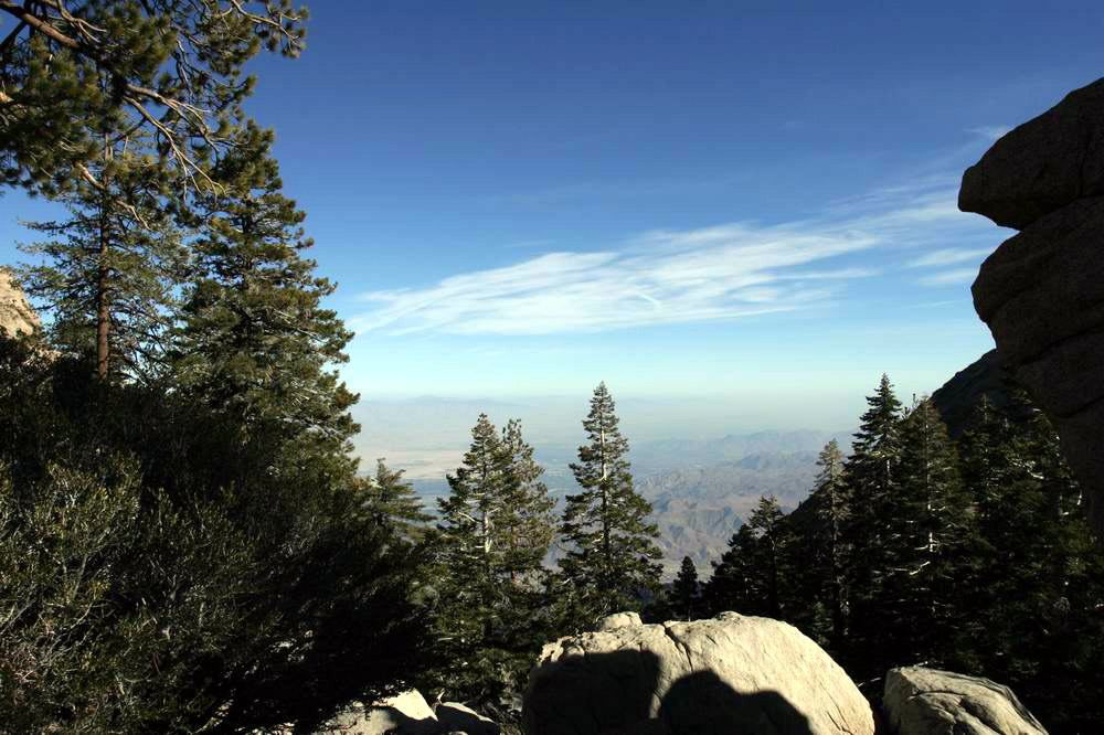 * Image 6