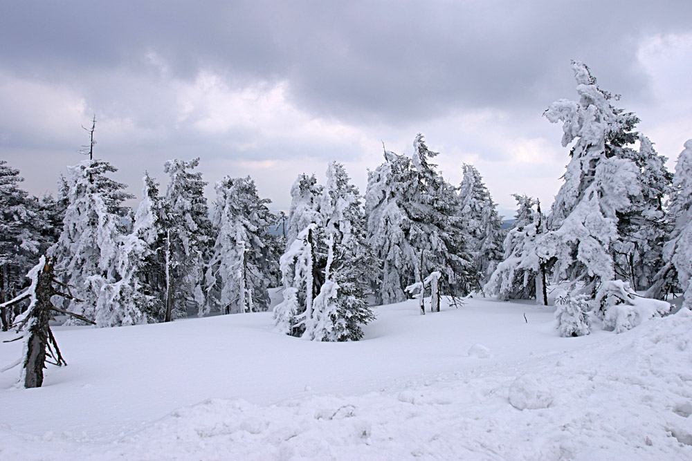 * Image 12
