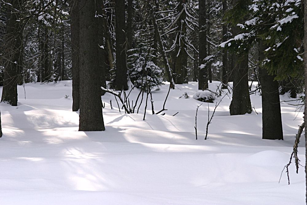 * Image 14