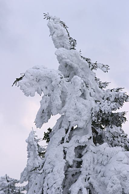 * Image 13