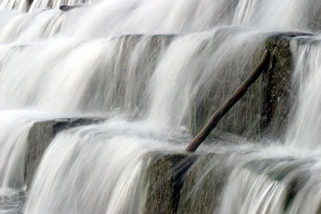 * Image 3