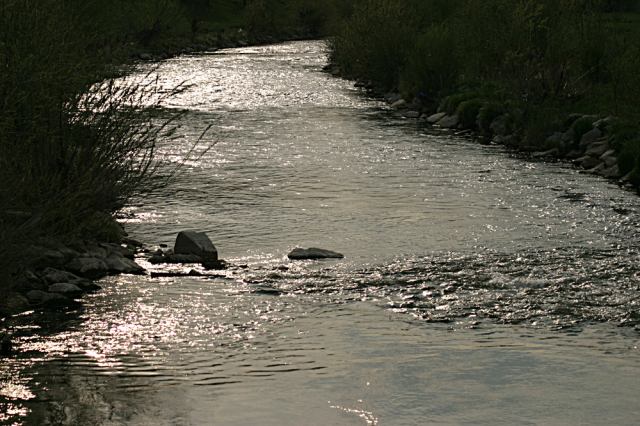 * Image 5