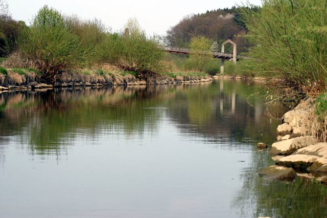 * Image 6