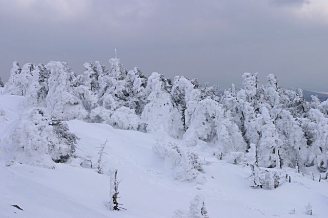 * Image 10