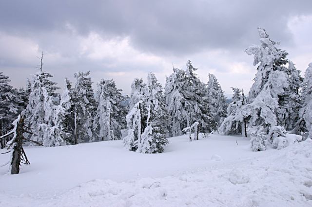 * Image 12