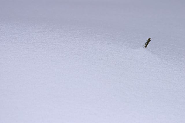* Image 15