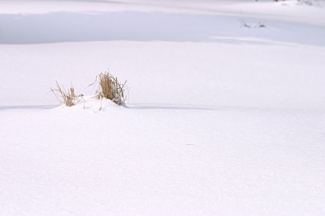 * Image 18