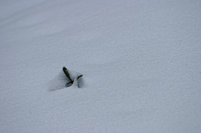 * Image 22