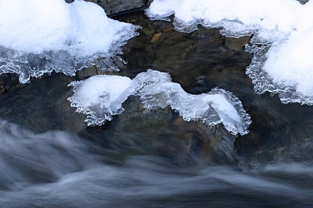 * Image 23