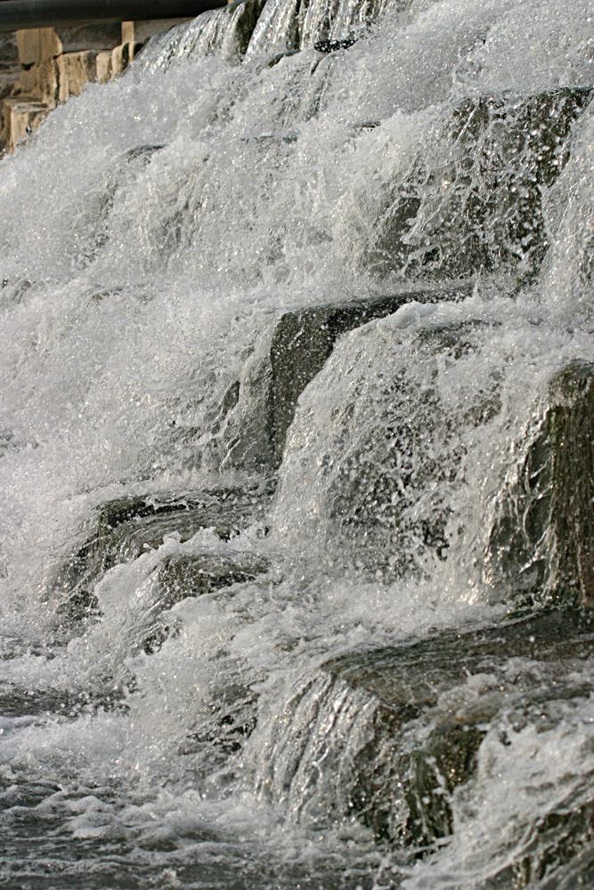 * Image 4