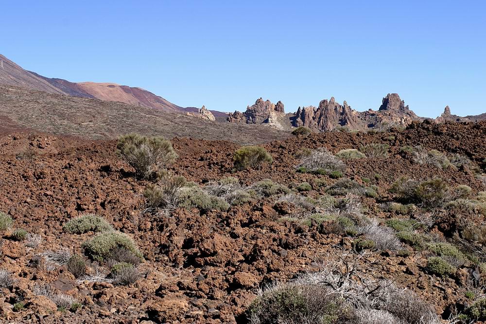 * Image 7