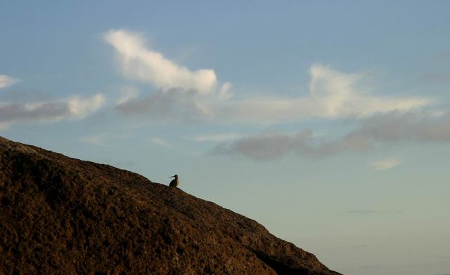 * Image 16