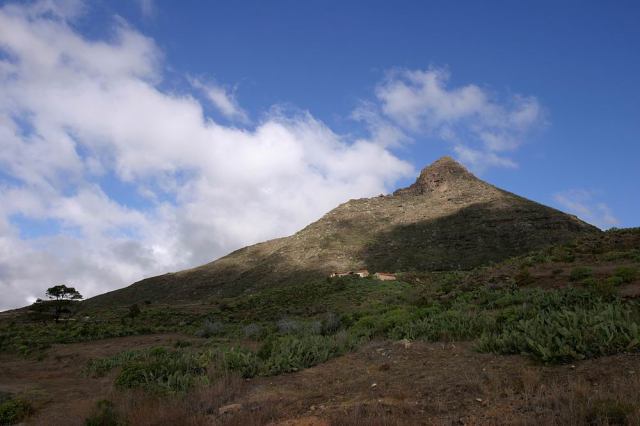 * Image 2
