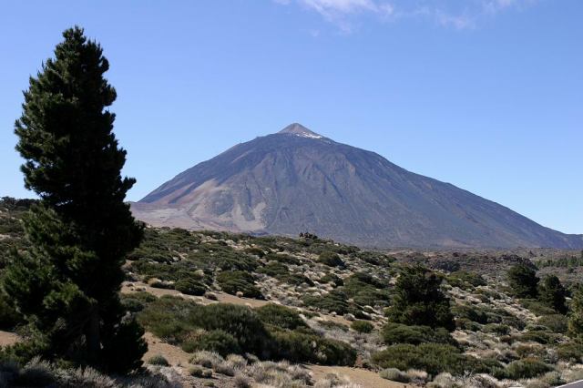 * Image 9