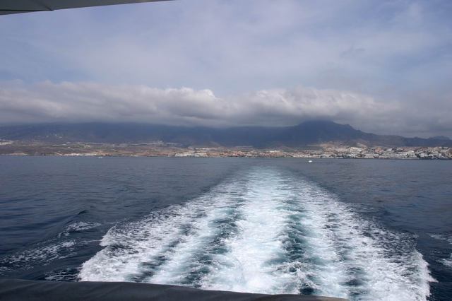 * Image 20