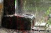 RMKPic_029.JPG - 2004:08:27 14:30:54
