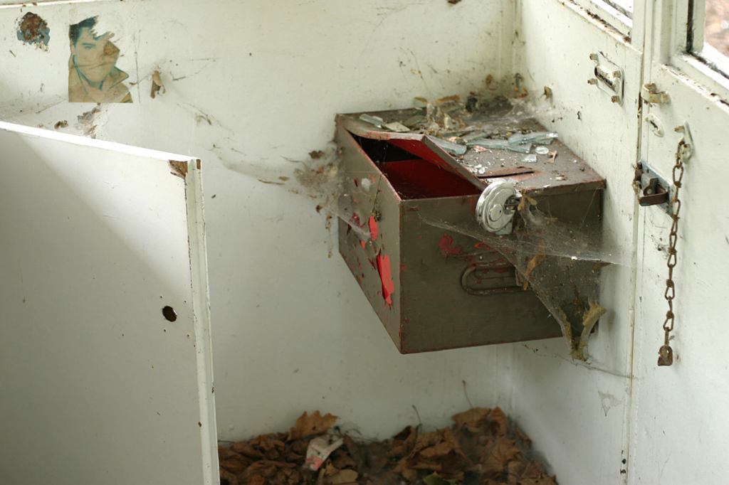 * Image 3