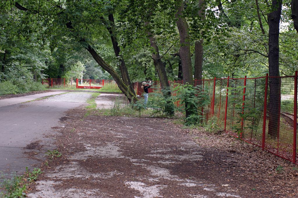 * Image 9