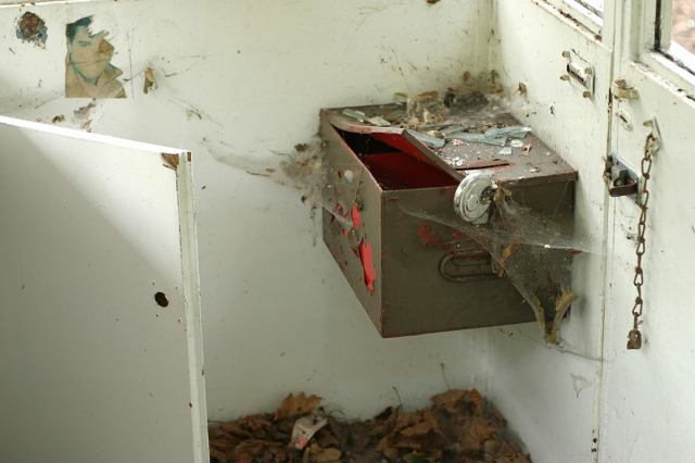 * Image 3