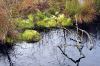 RMKimg_005.jpg - 2004:11:20 10:20:38