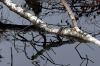 RMKimg_013.jpg - 2004:11:20 09:59:35