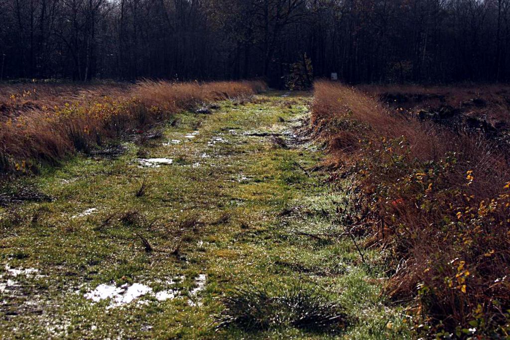 * Image 3