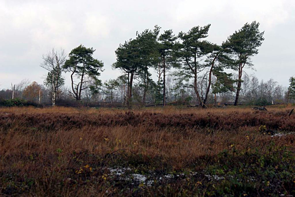 * Image 14