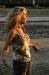 RMKPic_003.jpg - 2003:08:10 20:07:48
