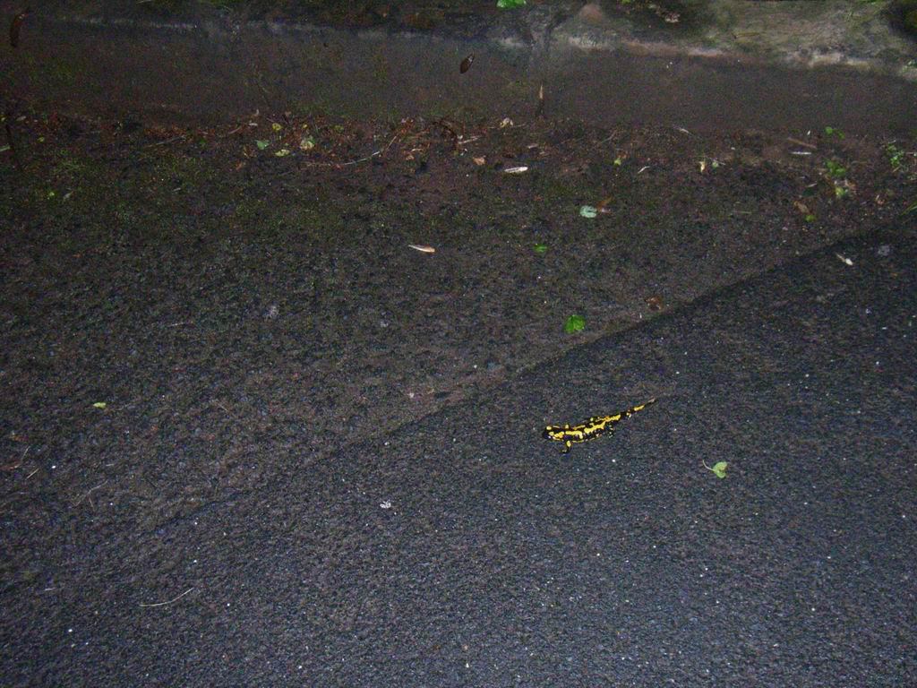 * Image 57