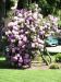 R0010121.JPG - 2005:06:03 14:23:54