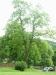 R0010279.JPG - 2005:06:04 10:13:06