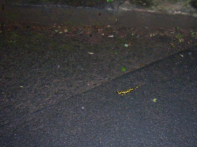 * Image 57