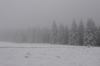 IMG_0164.JPG - 2005:02:26 13:43:54
