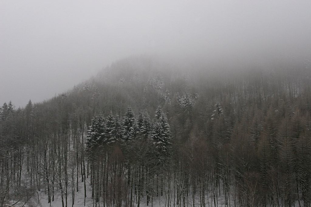 * Image 2