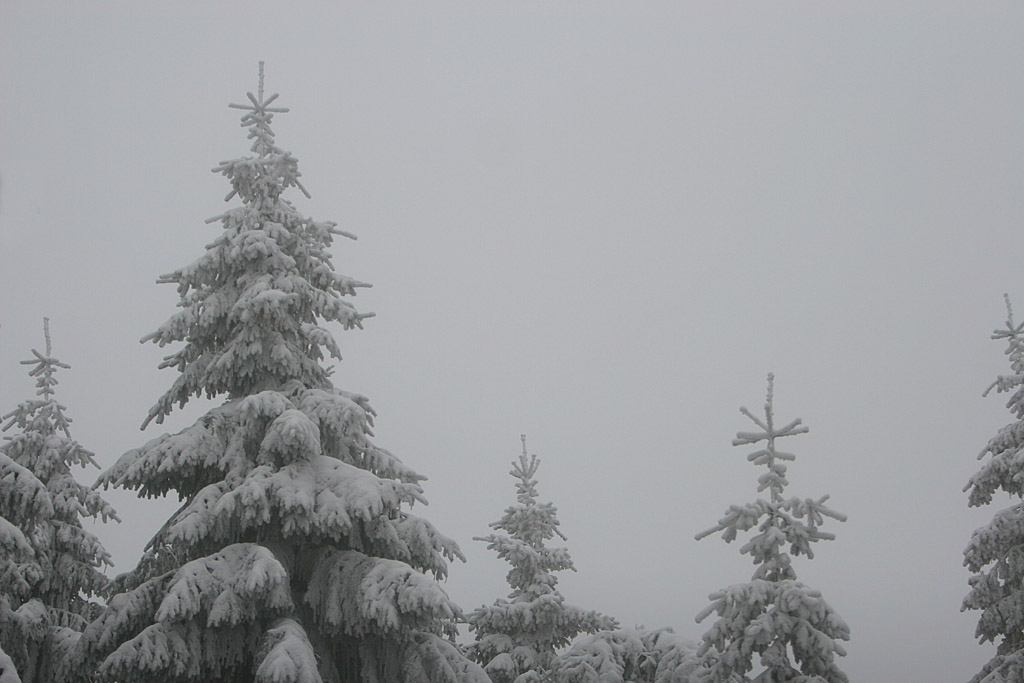 * Image 12
