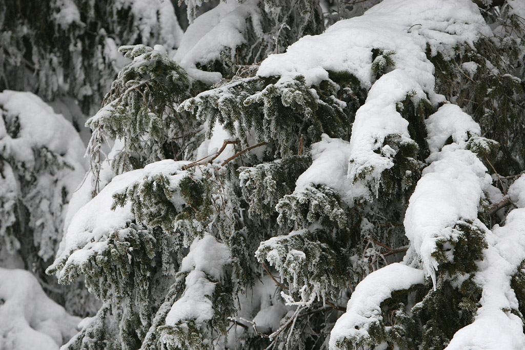 * Image 14