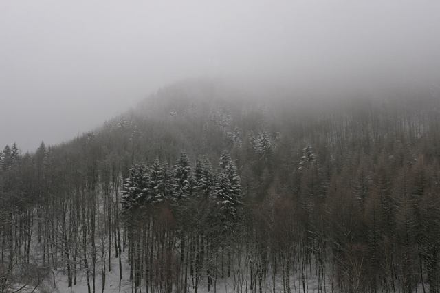* Image 2